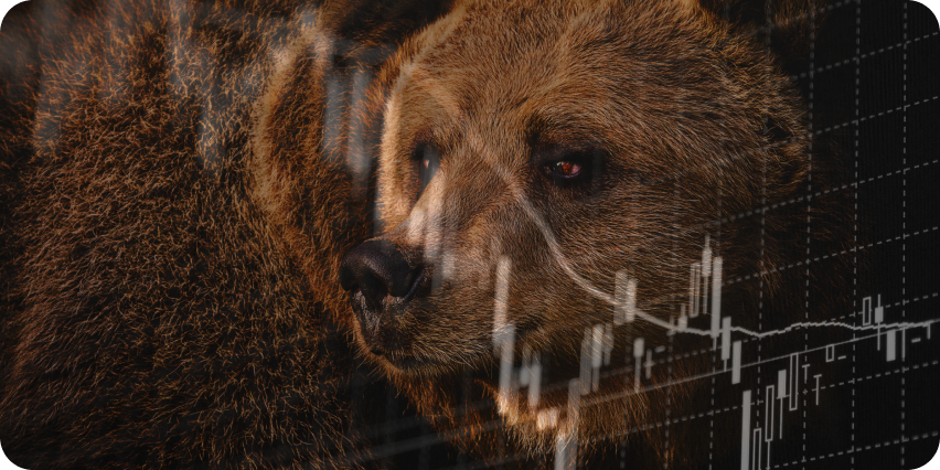 Bear-Markets-overview